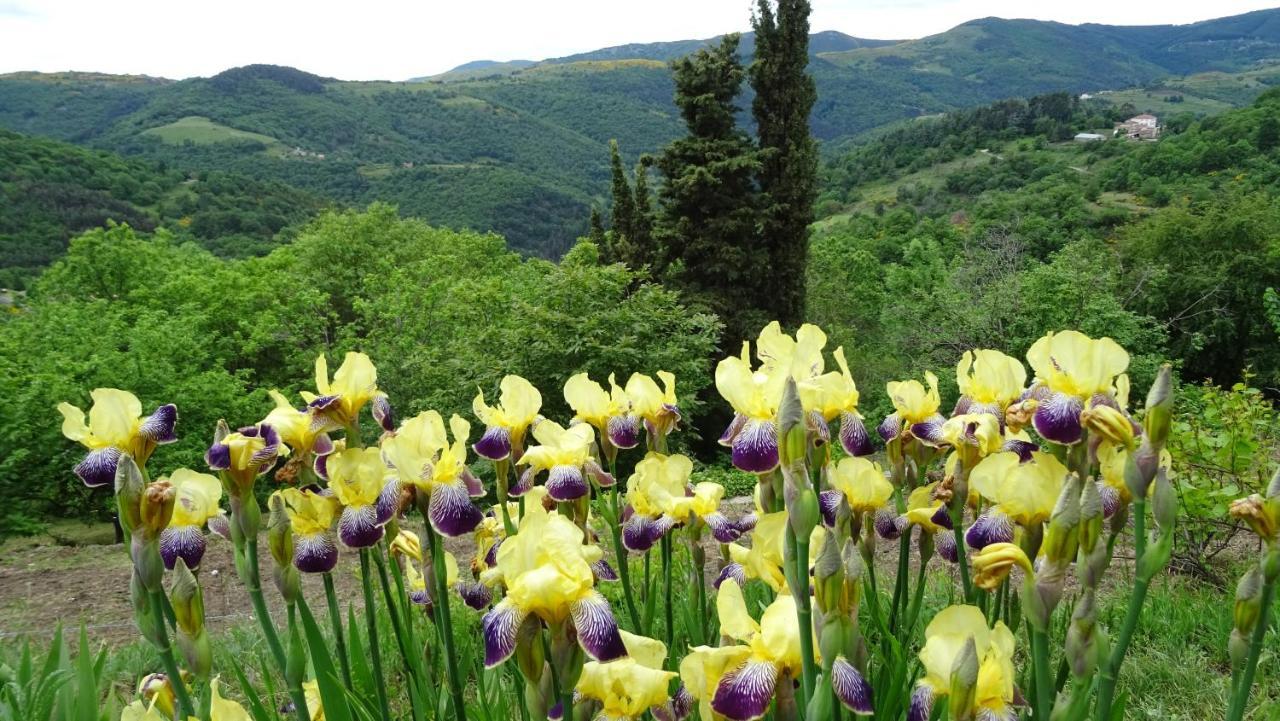 Gite De Chapeleche Les Chataigniers Gluiras 外观 照片